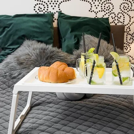 Apartament Cracow Starowislna 36 Vintage Studio Kraków